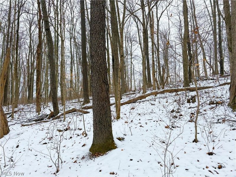 0 Tract 2 MORRS RIDGE Road, Woodsfield, OH 43793 Photo 11