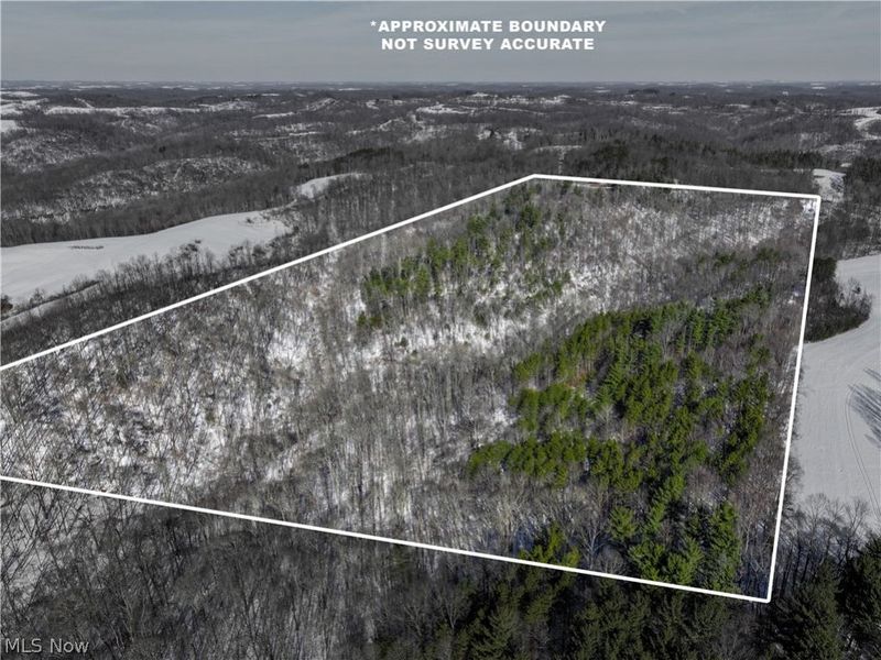 0 Tract 3 Bondi Ridge Road, Woodsfield, OH 43793 Photo 10