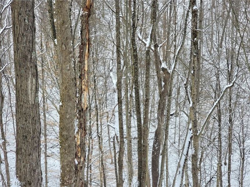 0 Tract 3 Bondi Ridge Road, Woodsfield, OH 43793 Photo 14