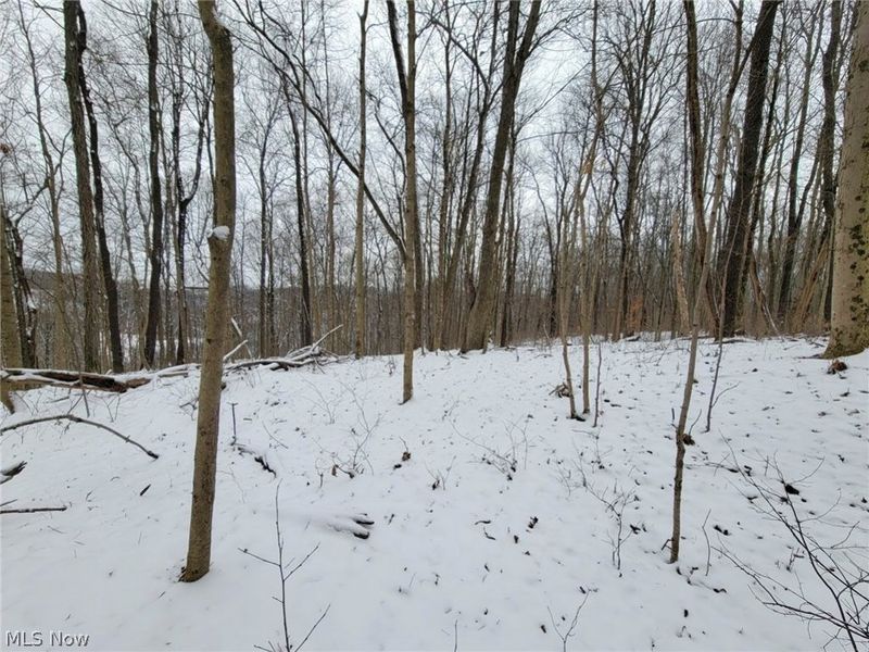 0 Tract 3 Bondi Ridge Road, Woodsfield, OH 43793 Photo 15