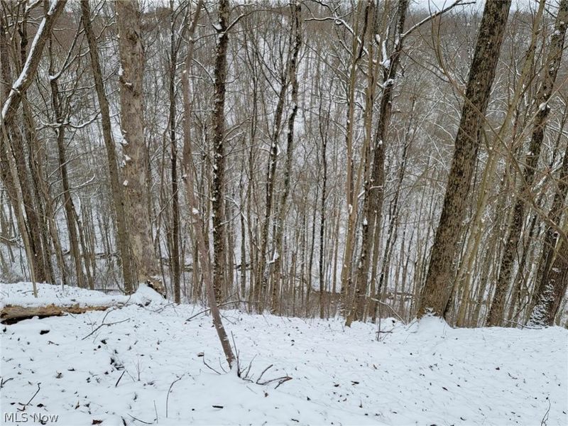 0 Tract 3 Bondi Ridge Road, Woodsfield, OH 43793 Photo 18