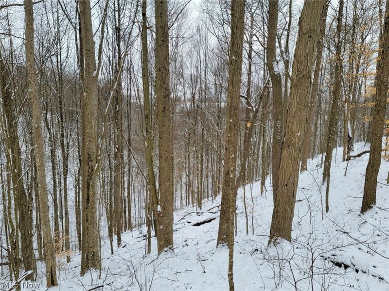 0 Tract 3 Bondi Ridge Road, Woodsfield, OH 43793 Photo 19