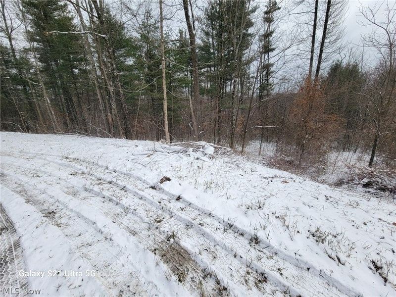 0 Tract 3 Bondi Ridge Road, Woodsfield, OH 43793 Photo 2