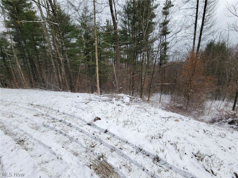 0 Tract 3 Bondi Ridge Road, Woodsfield, OH 43793 Photo 21