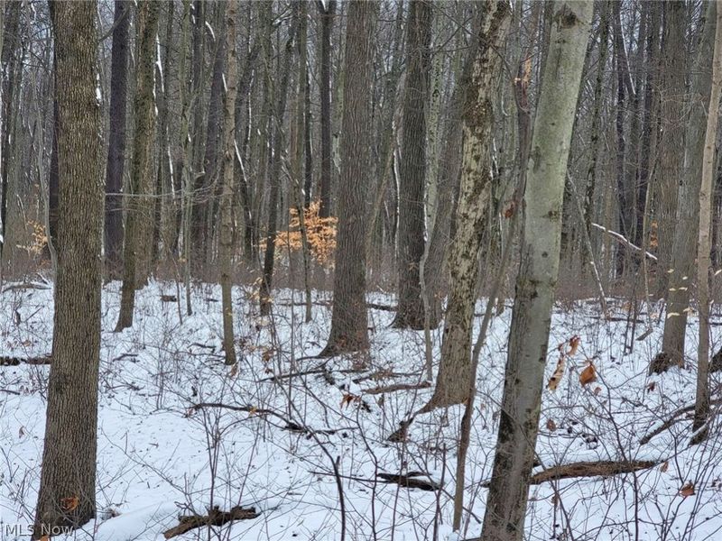 0 Tract 3 Bondi Ridge Road, Woodsfield, OH 43793 Photo 22