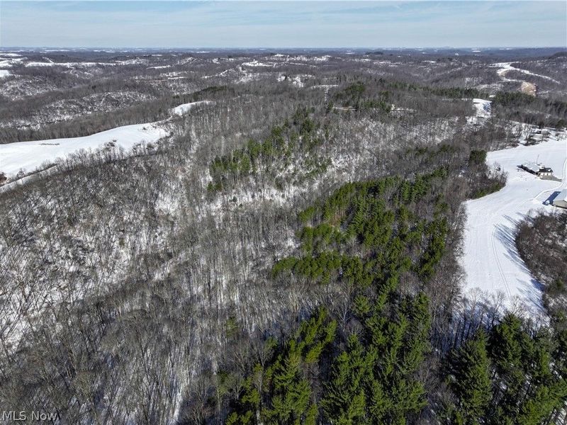 0 Tract 3 Bondi Ridge Road, Woodsfield, OH 43793 Photo 6