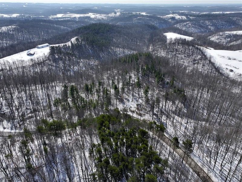 0 Tract 3 Bondi Ridge Road, Woodsfield, OH 43793 Photo 9