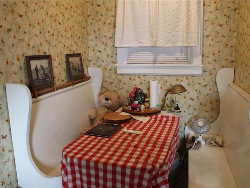 119 & 121 N Paul Street, Woodsfield, OH 43793 Photo 8