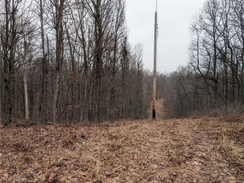 0 Tract 9 Township RD 272, Lewisville, OH 43754 Photo 10