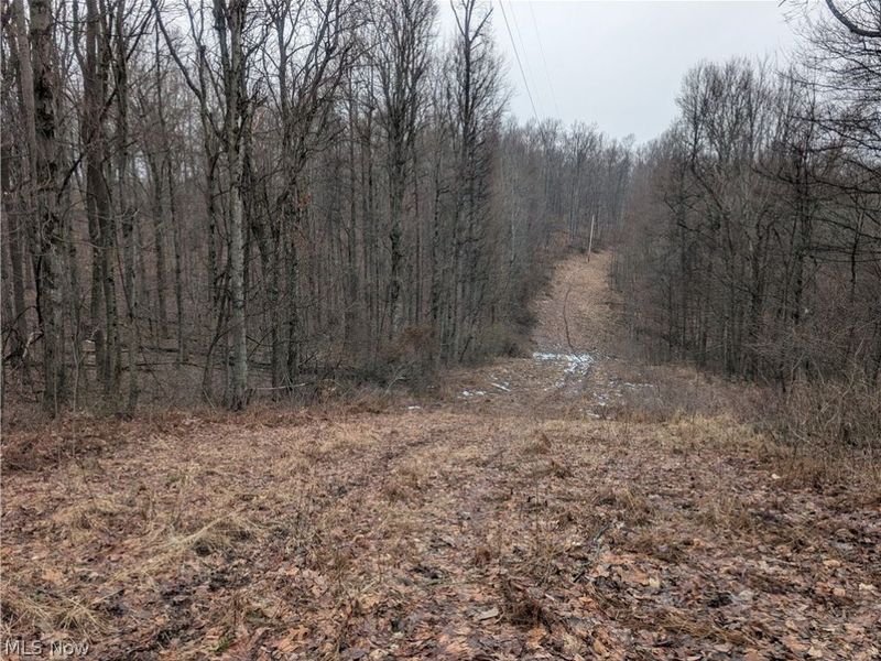 0 Tract 9 Township RD 272, Lewisville, OH 43754 Photo 11