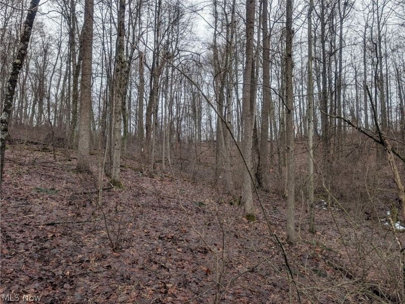 0 Tract 9 Township RD 272, Lewisville, OH 43754 Photo 12