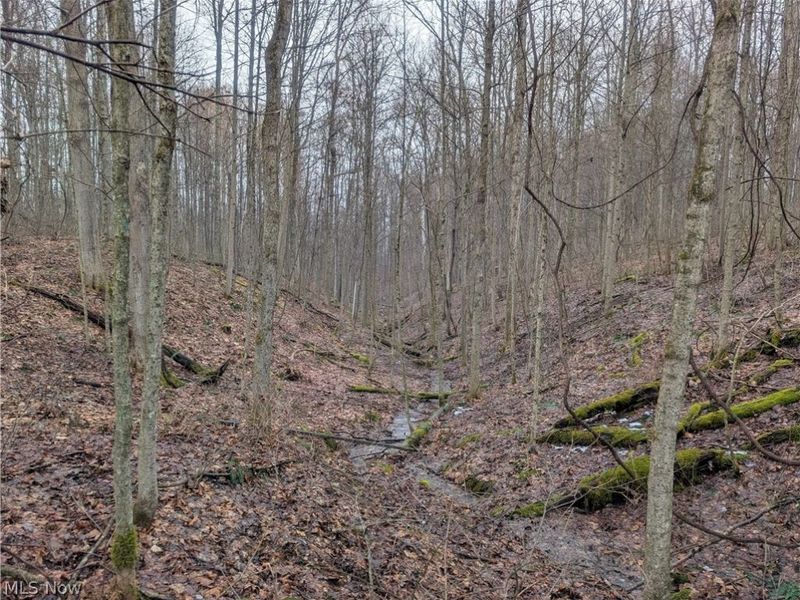 0 Tract 9 Township RD 272, Lewisville, OH 43754 Photo 13