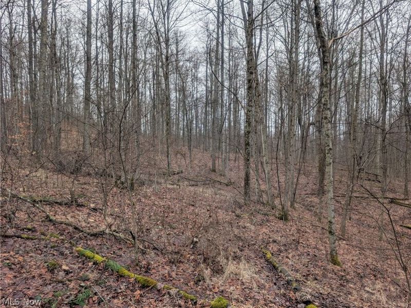 0 Tract 9 Township RD 272, Lewisville, OH 43754 Photo 14