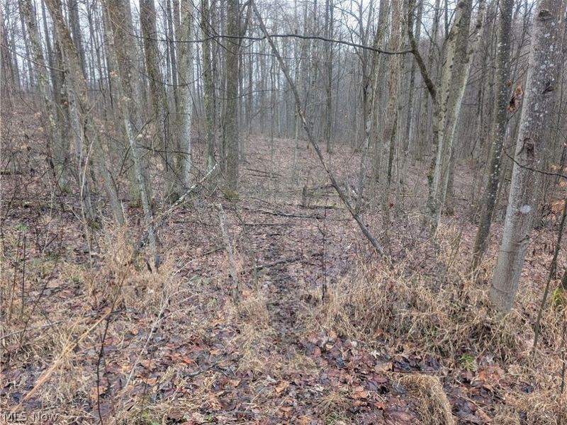 0 Tract 9 Township RD 272, Lewisville, OH 43754 Photo 15