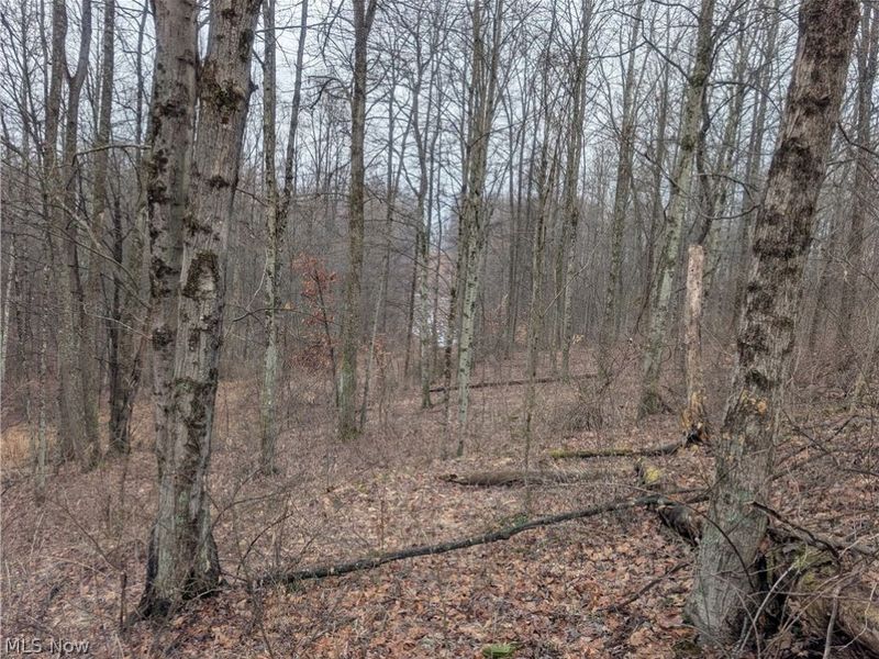 0 Tract 9 Township RD 272, Lewisville, OH 43754 Photo 16