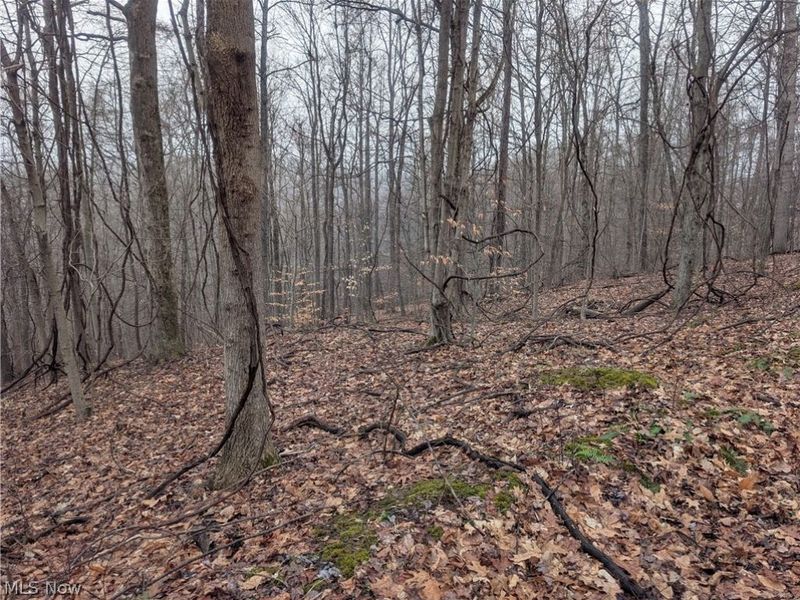 0 Tract 9 Township RD 272, Lewisville, OH 43754 Photo 17