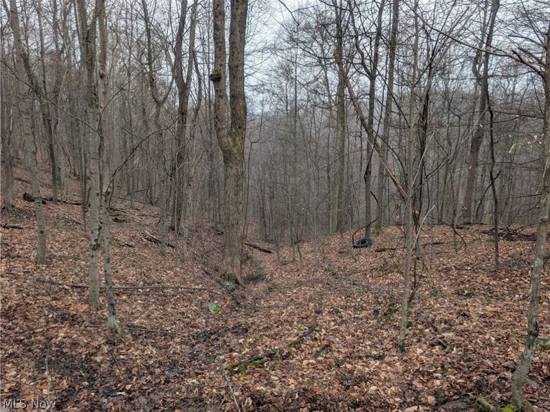 0 Tract 9 Township RD 272, Lewisville, OH 43754 Photo 18