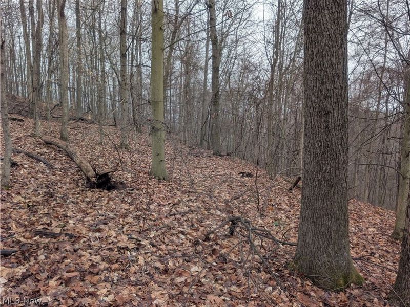 0 Tract 9 Township RD 272, Lewisville, OH 43754 Photo 19