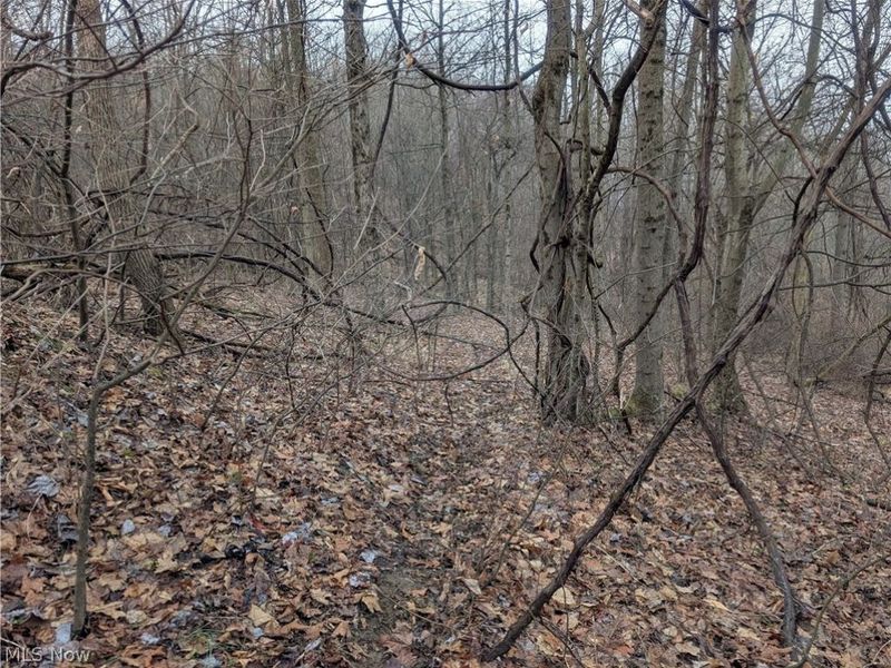 0 Tract 9 Township RD 272, Lewisville, OH 43754 Photo 20