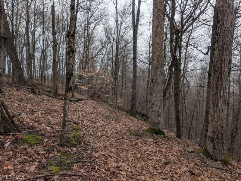 0 Tract 9 Township RD 272, Lewisville, OH 43754 Photo 21