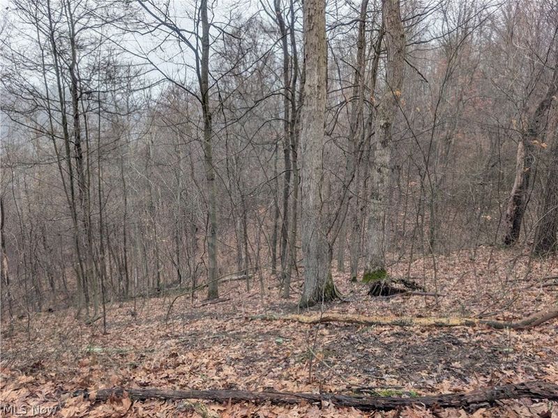 0 Tract 9 Township RD 272, Lewisville, OH 43754 Photo 22