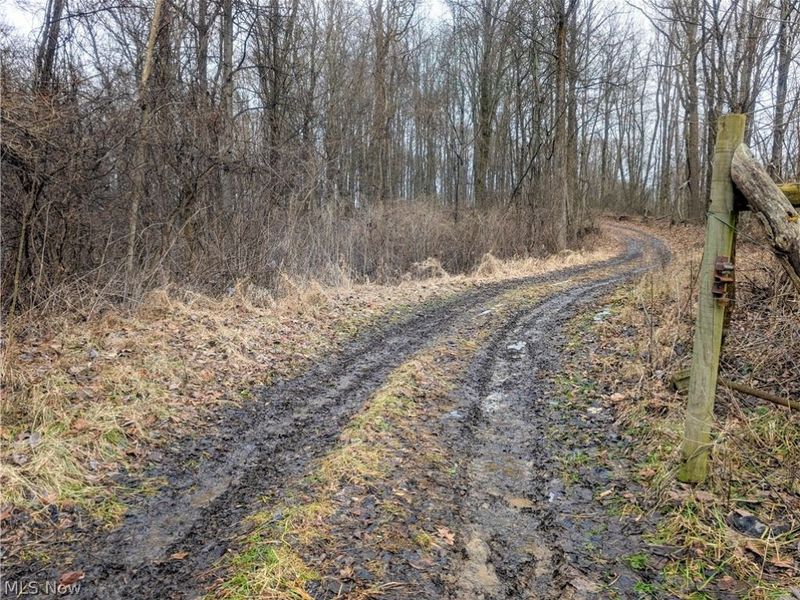 0 Tract 9 Township RD 272, Lewisville, OH 43754 Photo 3