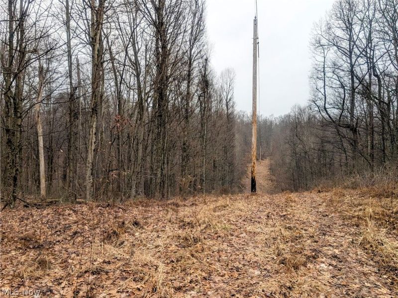 0 Tract 9 Township RD 272, Lewisville, OH 43754 Photo 4