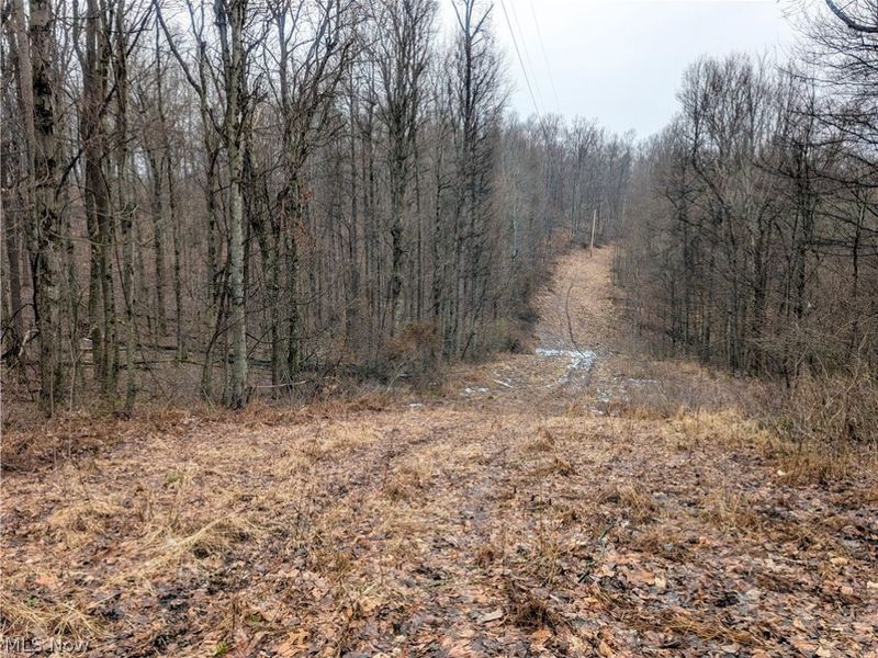 0 Tract 9 Township RD 272, Lewisville, OH 43754 Photo 6