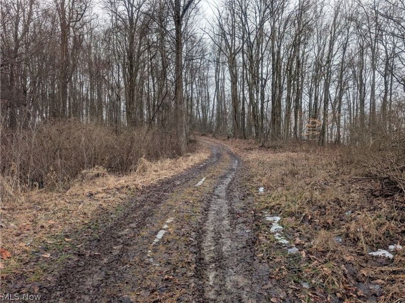 0 Tract 9 Township RD 272, Lewisville, OH 43754 Photo 7
