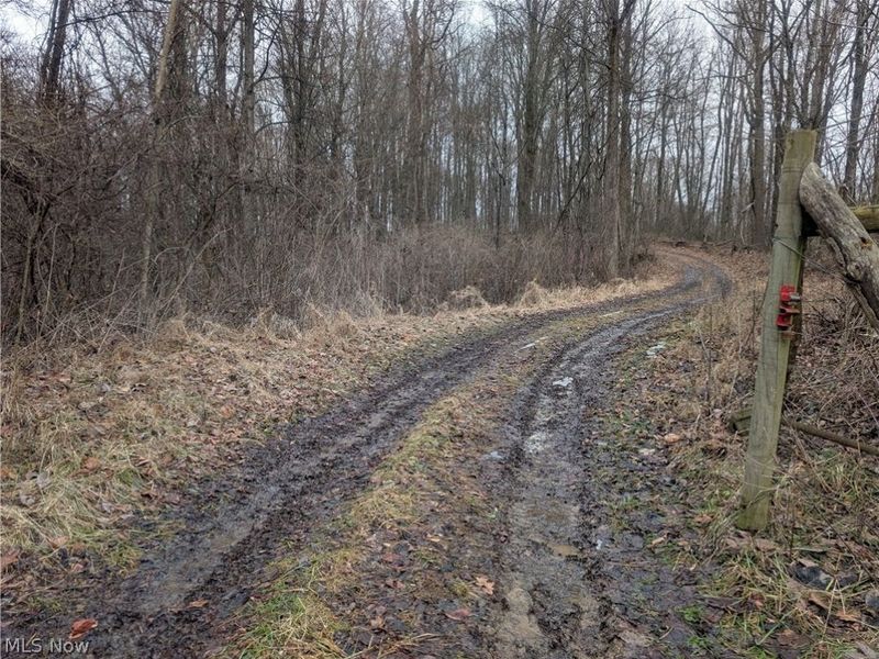 0 Tract 9 Township RD 272, Lewisville, OH 43754 Photo 8