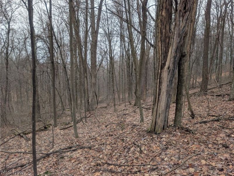 0 Tract 9 Township RD 272, Lewisville, OH 43754 Photo 9