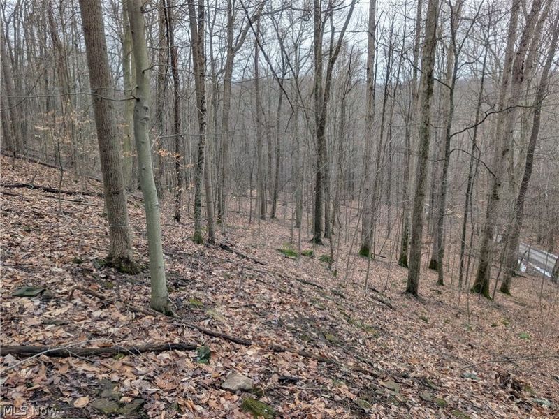 0 Tract 7 Edwina Road, Woodsfield, OH 43793 Photo 10