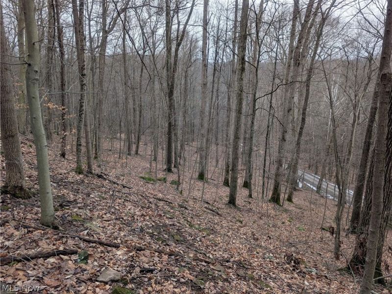 0 Tract 7 Edwina Road, Woodsfield, OH 43793 Photo 11