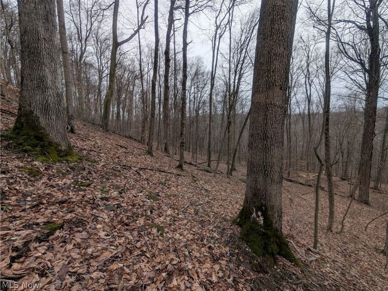 0 Tract 7 Edwina Road, Woodsfield, OH 43793 Photo 12