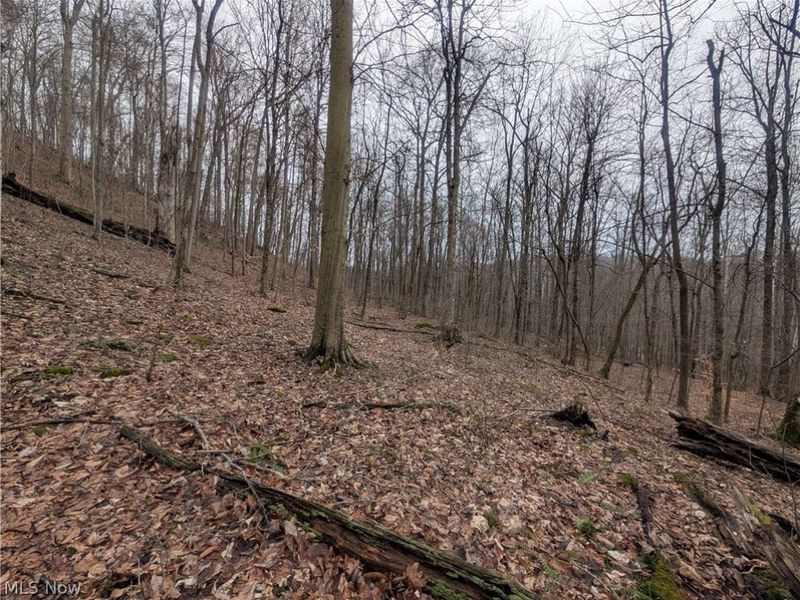 0 Tract 7 Edwina Road, Woodsfield, OH 43793 Photo 13