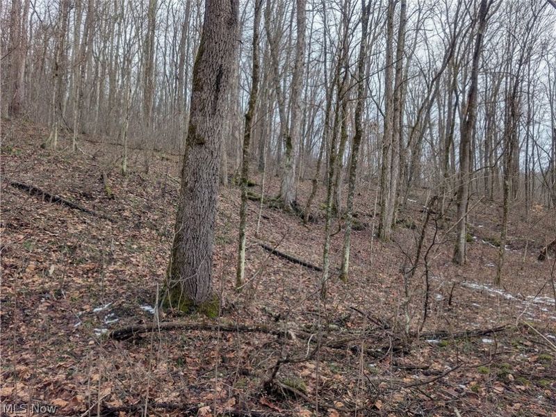 0 Tract 7 Edwina Road, Woodsfield, OH 43793 Photo 14