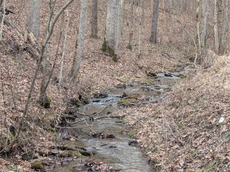 0 Tract 7 Edwina Road, Woodsfield, OH 43793 Photo 15