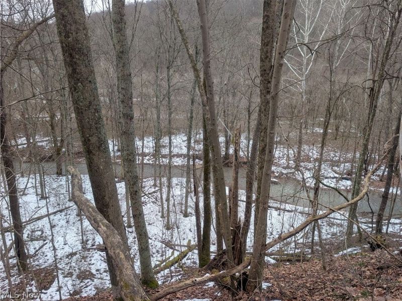 0 Tract 7 Edwina Road, Woodsfield, OH 43793 Photo 16