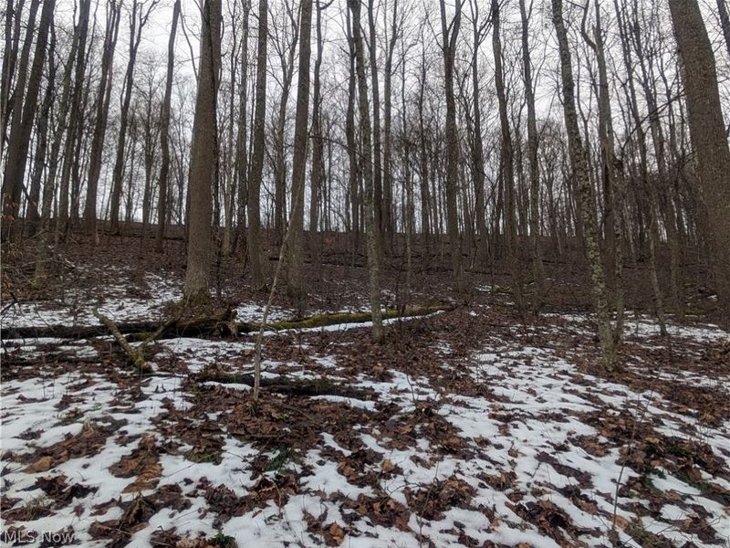0 Tract 7 Edwina Road, Woodsfield, OH 43793 Photo 17