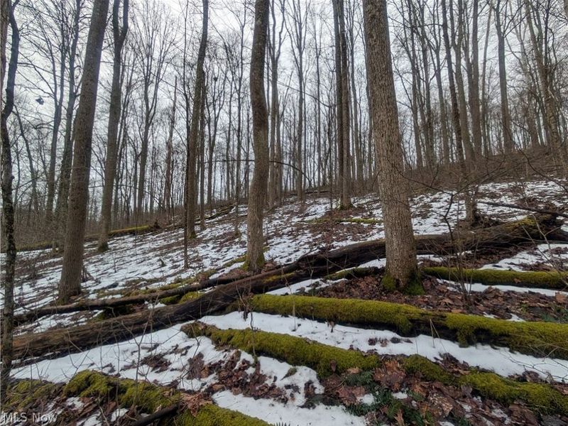 0 Tract 7 Edwina Road, Woodsfield, OH 43793 Photo 18