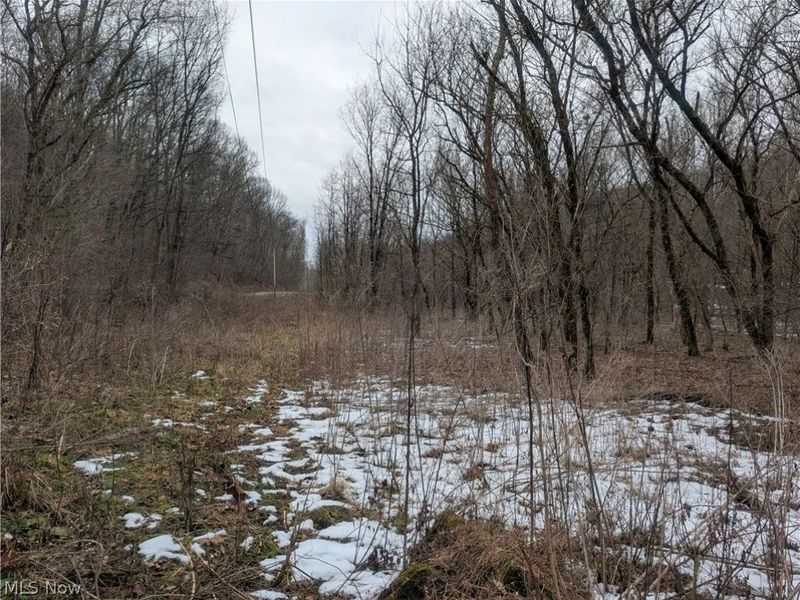 0 Tract 7 Edwina Road, Woodsfield, OH 43793 Photo 19