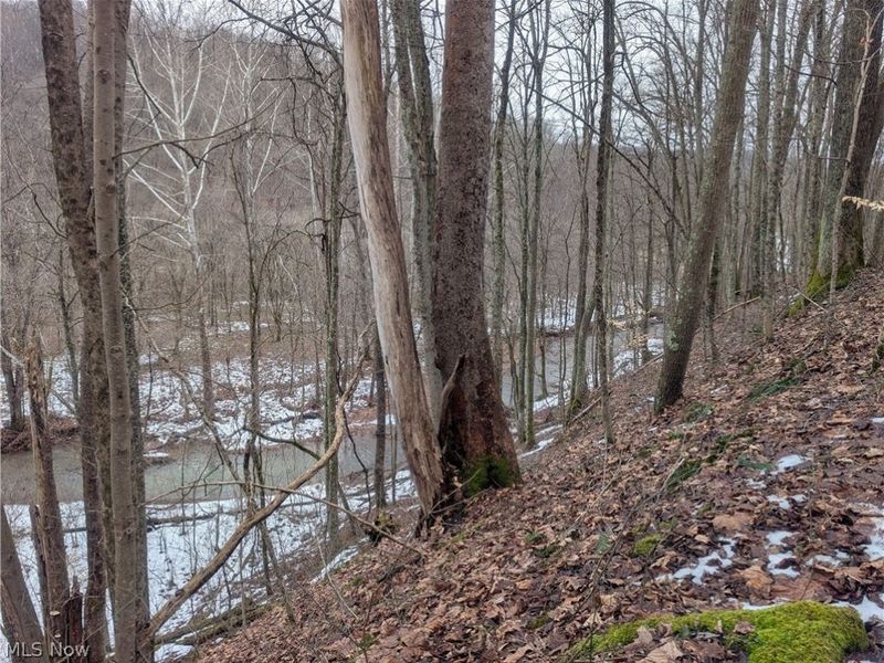 0 Tract 7 Edwina Road, Woodsfield, OH 43793 Photo 20