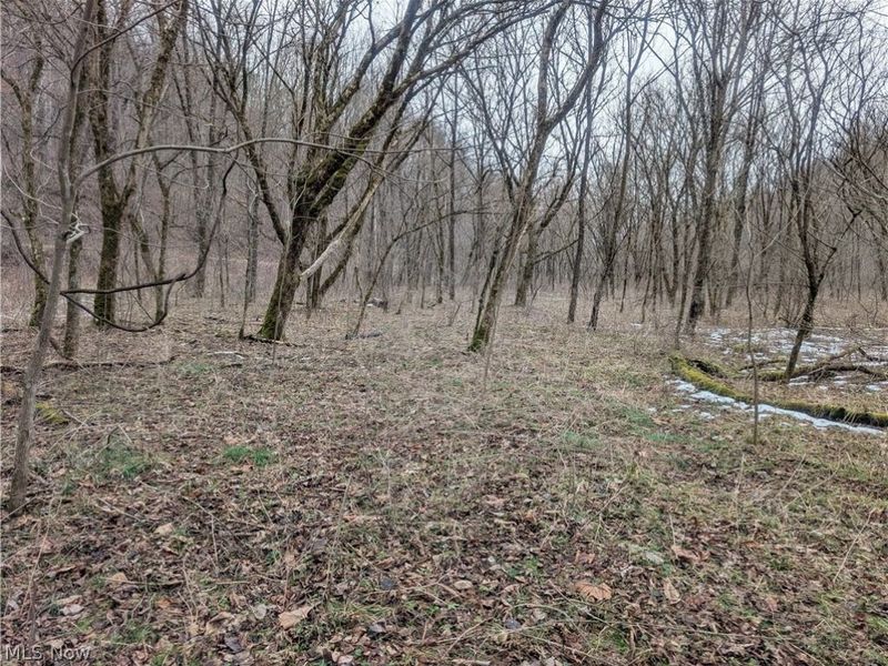 0 Tract 7 Edwina Road, Woodsfield, OH 43793 Photo 21