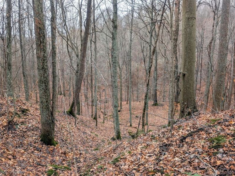 0 Tract 7 Edwina Road, Woodsfield, OH 43793 Photo 27