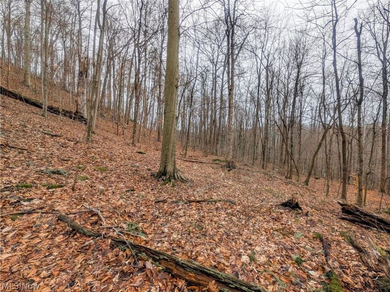 0 Tract 7 Edwina Road, Woodsfield, OH 43793 Photo 28