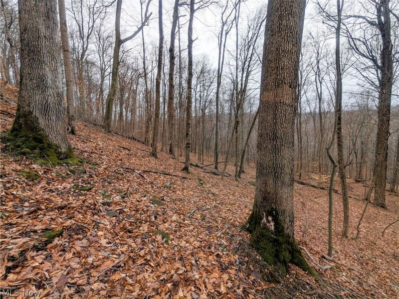 0 Tract 7 Edwina Road, Woodsfield, OH 43793 Photo 3