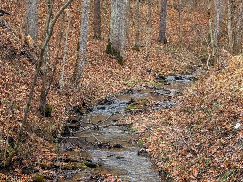 0 Tract 7 Edwina Road, Woodsfield, OH 43793 Photo 4