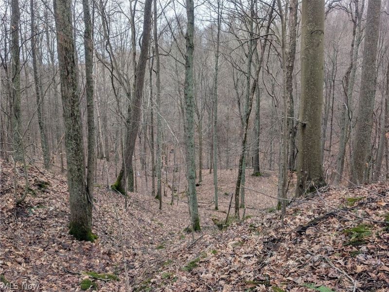 0 Tract 7 Edwina Road, Woodsfield, OH 43793 Photo 6