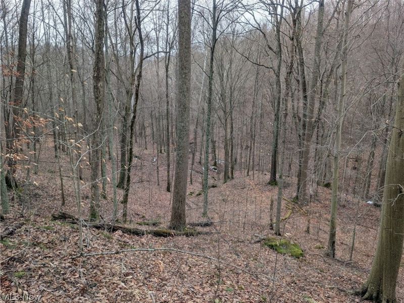 0 Tract 7 Edwina Road, Woodsfield, OH 43793 Photo 7