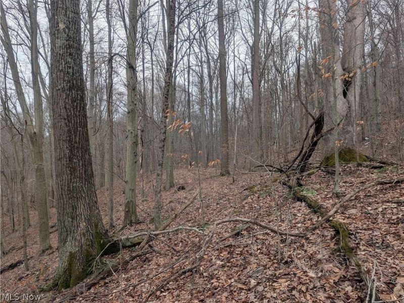 0 Tract 7 Edwina Road, Woodsfield, OH 43793 Photo 8